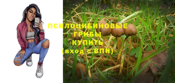 spice Краснотурьинск